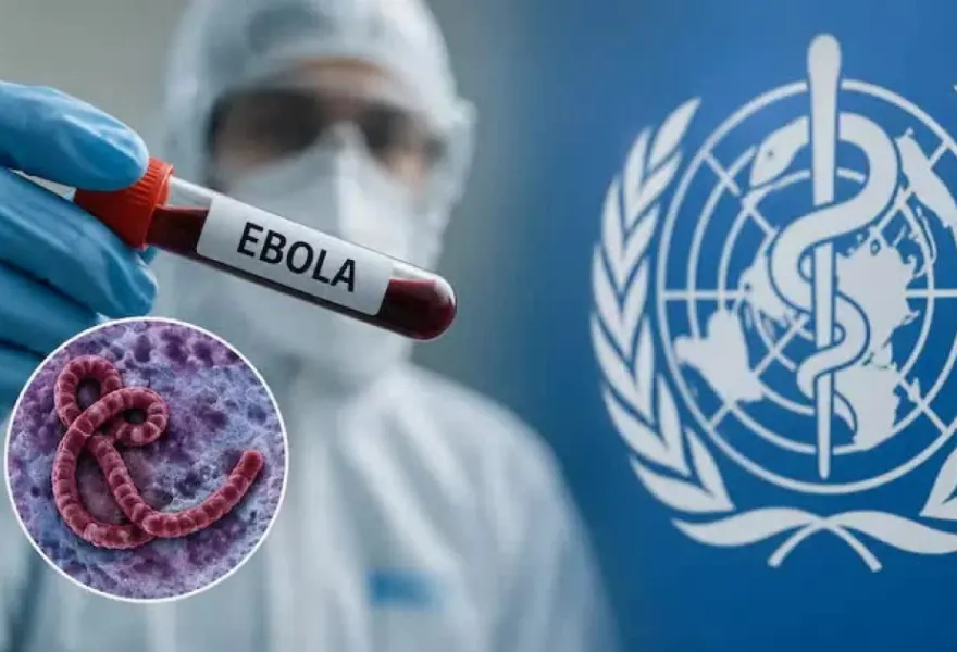 Nigeriyada aşkarlanan Ebola virusu ilə bağlı yeni fakt açıqlandı