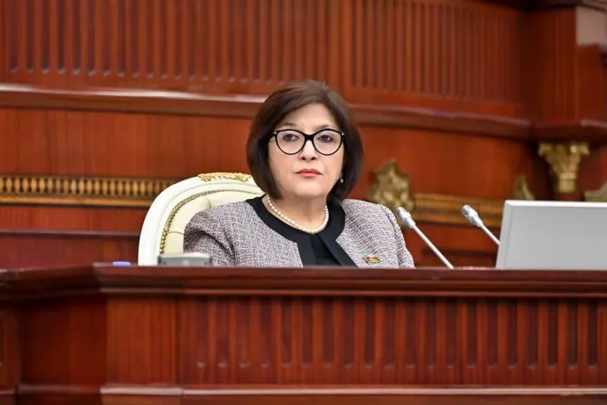 Sahibə Qafarova TÜRKPA-nı gənclər siyasətini gücləndirməyə çağırıb