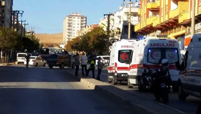 Pişiyi xilas etmək istəyən müəllim canından oldu - Video