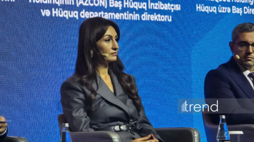 DVX-də süni intellektlə bağlı risklərə nəzarət üçün ayrıca komitə yaradılıb