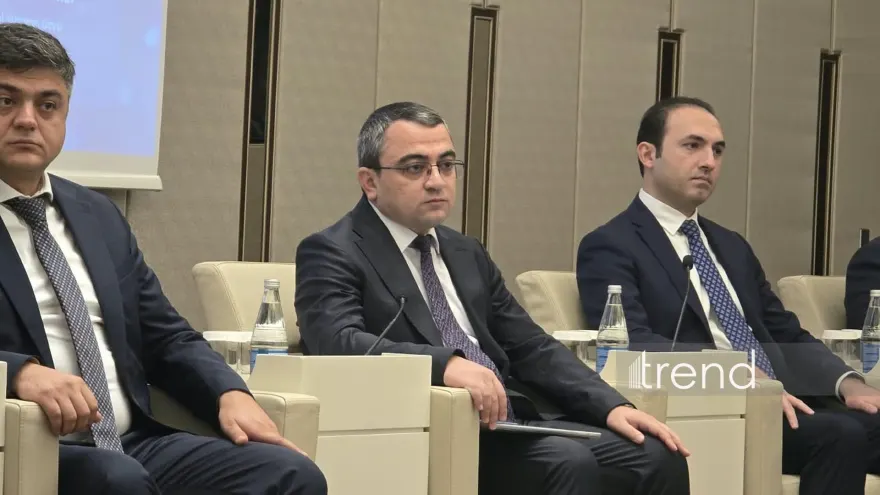 DVX mikrosahibkarlar üçün bəyannamələrin əvvəlcədən doldurulmasını tətbiq edəcək