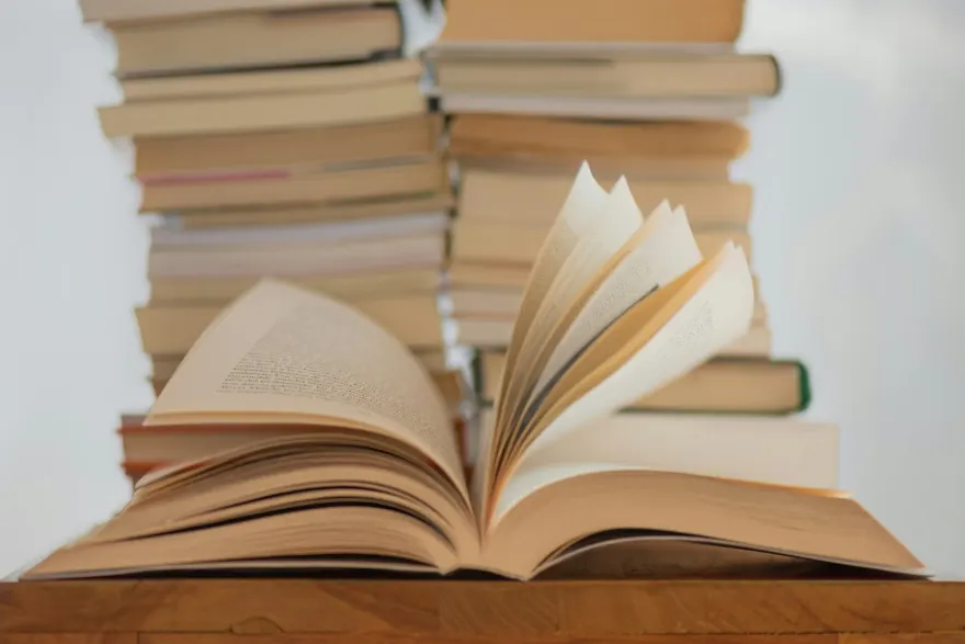 Yazıçı 20 aya 371 kitab yazdı - Necə?
