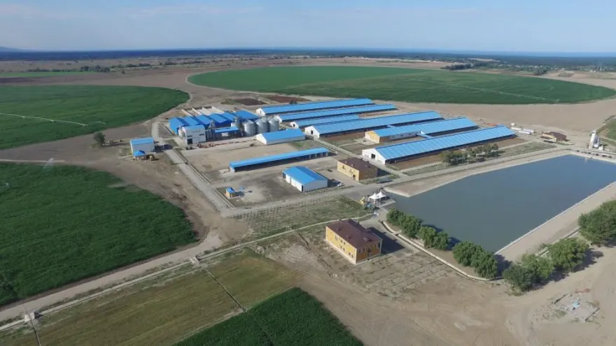 Şəmkirdə 600 min manat kapitalla yeni şirkət yaradılıb