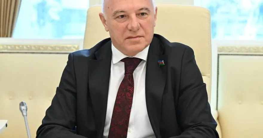 Arzuxan Əlizadə deputat mandatından imtina edəcək?