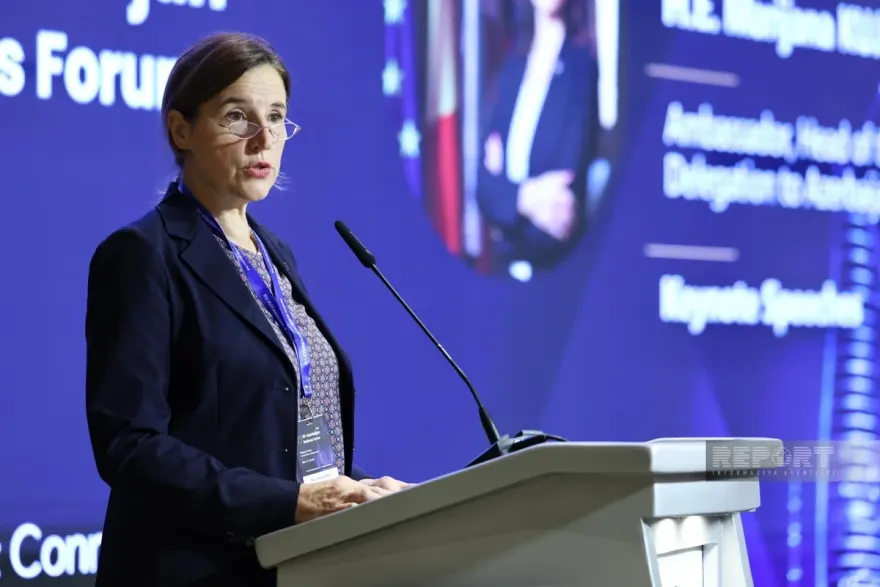 Səfir: "Avropa investisiyalarının Azərbaycanın strateji sektorlarına cəlb edilməsi üzərində işləyirik"
