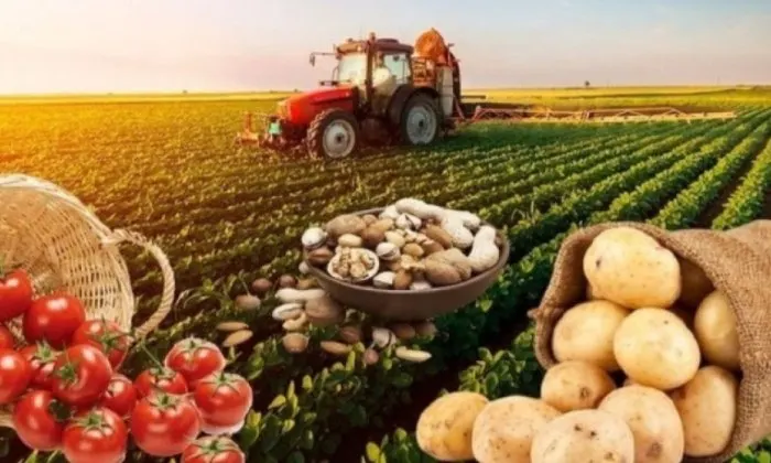 2030-cu ildə Azərbaycanın kənd təsərrüfatı və ərzaq məhsullarının ixracı 6 milyard dollara yüksələcək