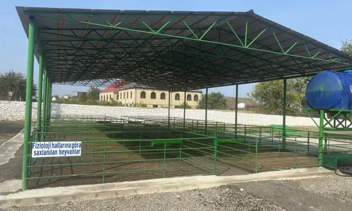Şəmkirdə yeni heyvan satışı bazarı fəaliyyətə başladı - FOTO