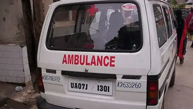 В Индии при наезде грузовика на толпу паломников погибли 12 человек - Видео
