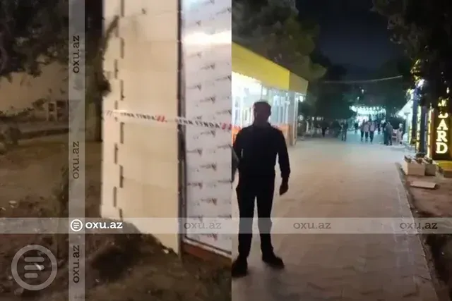 Sumqayıtda ağaclar kəsildi, yerində obyekt tikildi: Nazirlik hərəkətə keçdi - Video