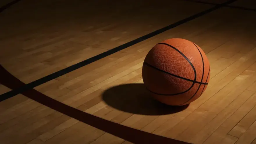 "LANDAU Lions" FIBA Avropa Kubokunda Türkiyə təmsilçisinə qalib gəlib