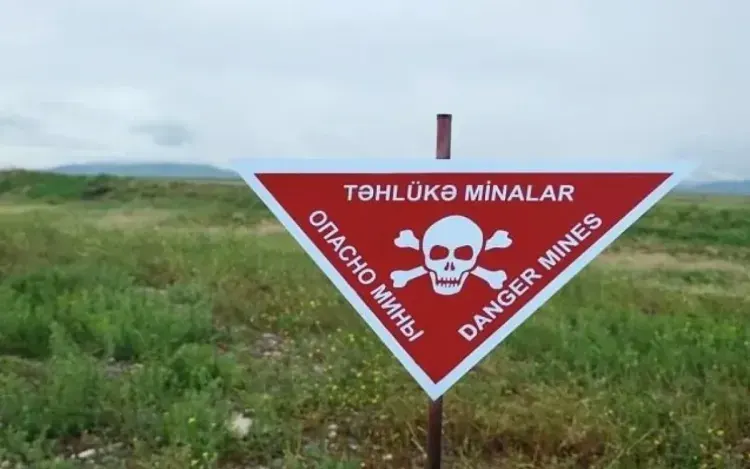 Azad edilmiş ərazilərdə daha 256 mina aşkarlandı