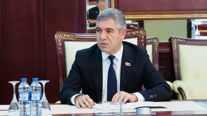 "Qarabağ iqtisadiyyatı 4 , Şərqi Zəngəzur 30 dəfə böyüyüb" – Deputat