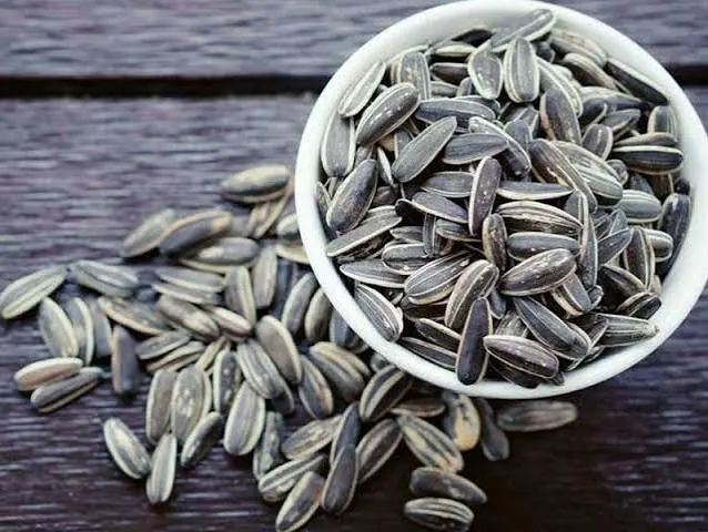 Appendisitlə bağlı məşhur mif yalan imiş