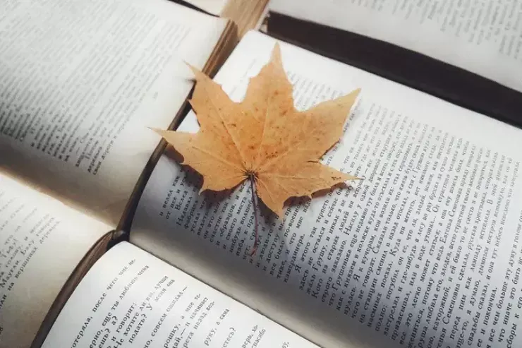 Kitab oxuyarkən buraxdığımız səhv – Alimlər xəbərdarlıq edir