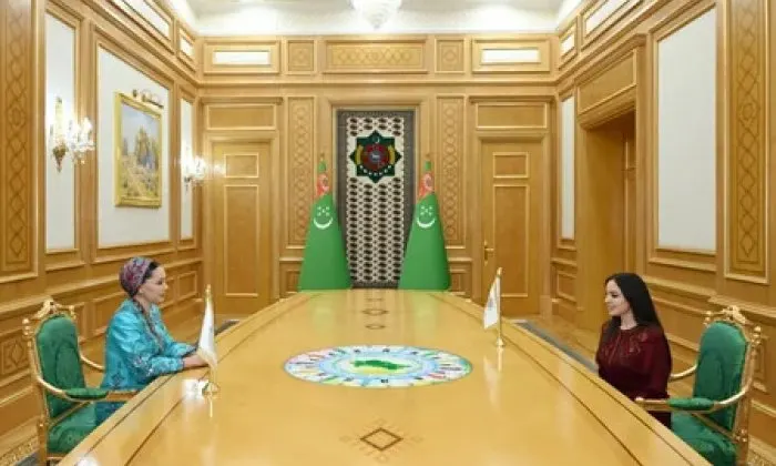 Leyla Əliyeva Arkadağ şəhərində Oğulcahan Atabayeva ilə görüşüb