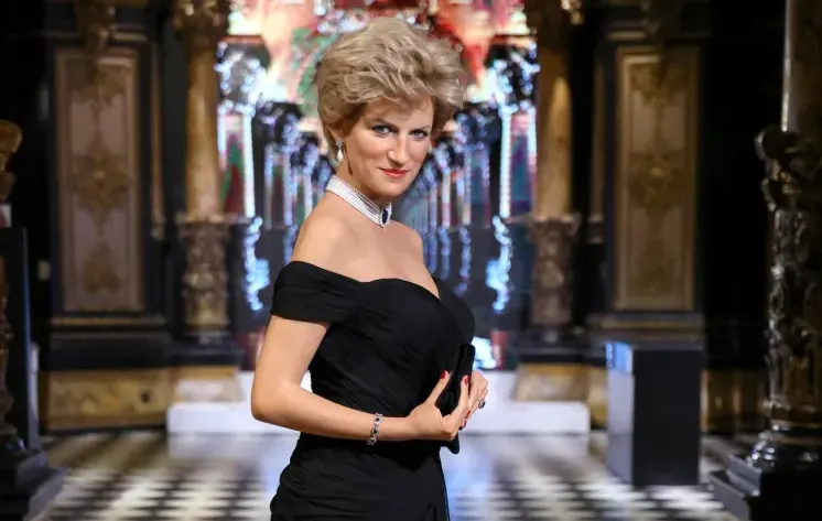 Şahzadə Diana Harrinin gələcəyindən niyə narahat olub?
