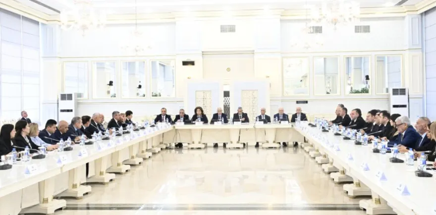 Milli Məclisdə konfrans keçirildi